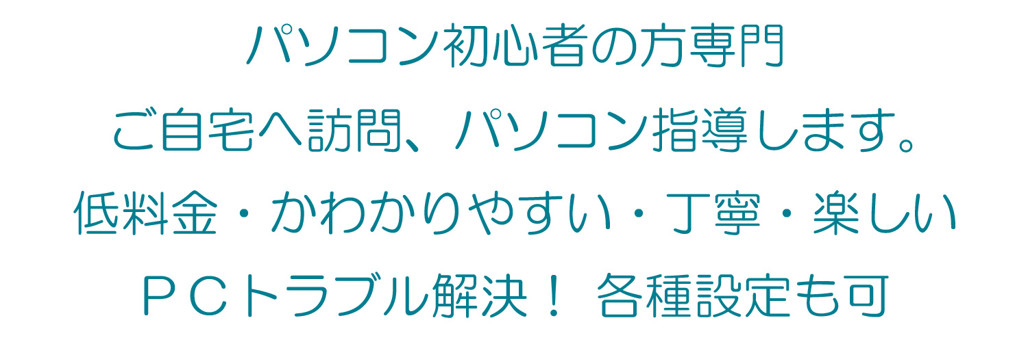 訪問パソコン教室　初心者専科　ウェブシステムサポート